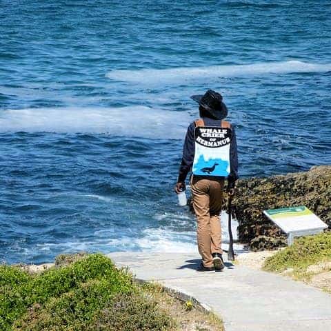 Whale Watching at Hermanus riebeek-cape-day-trips-tours-02